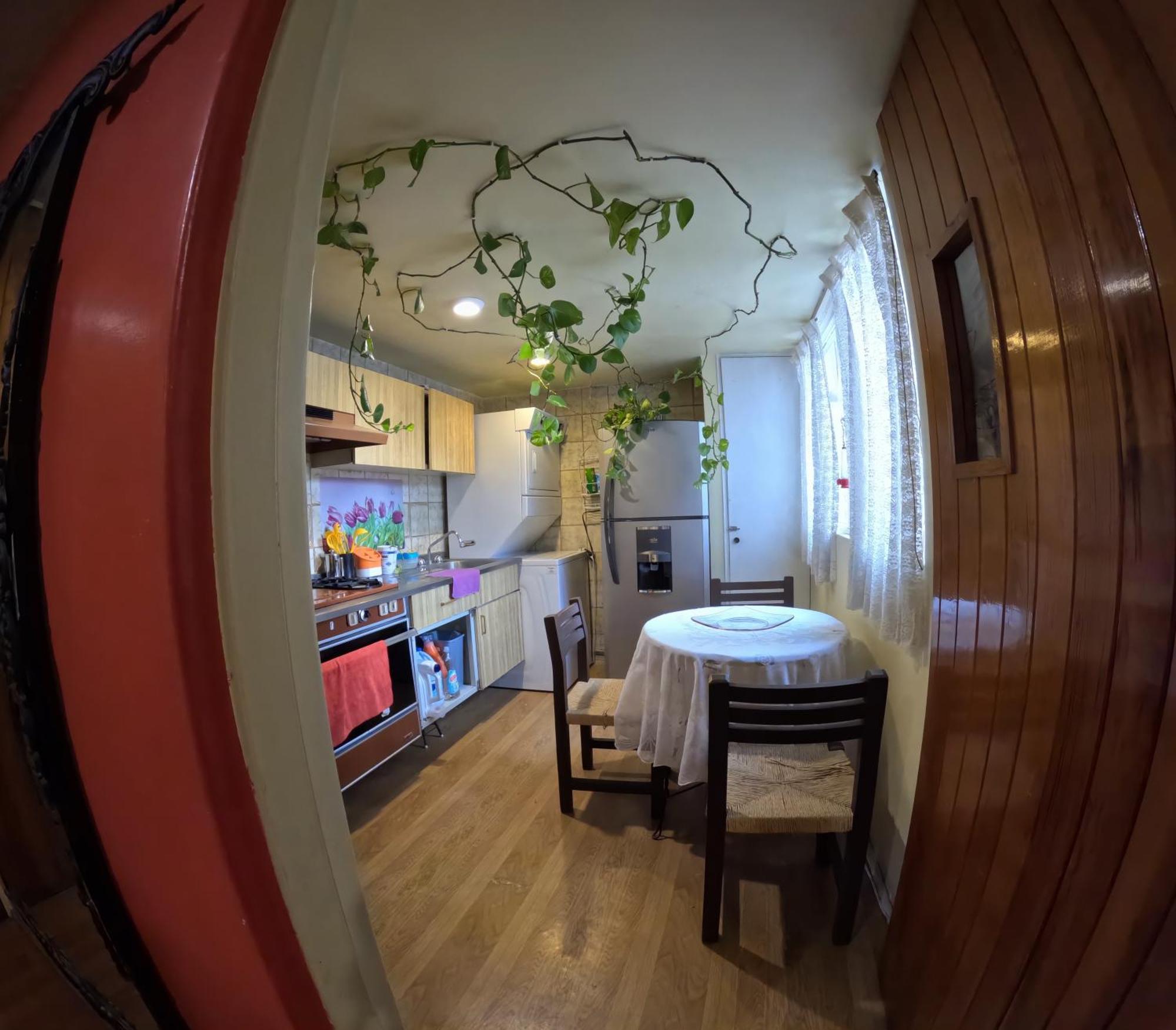 Neighbor Of Frida Khalo, Vintage Stay In Coyoacan Мехіко Екстер'єр фото