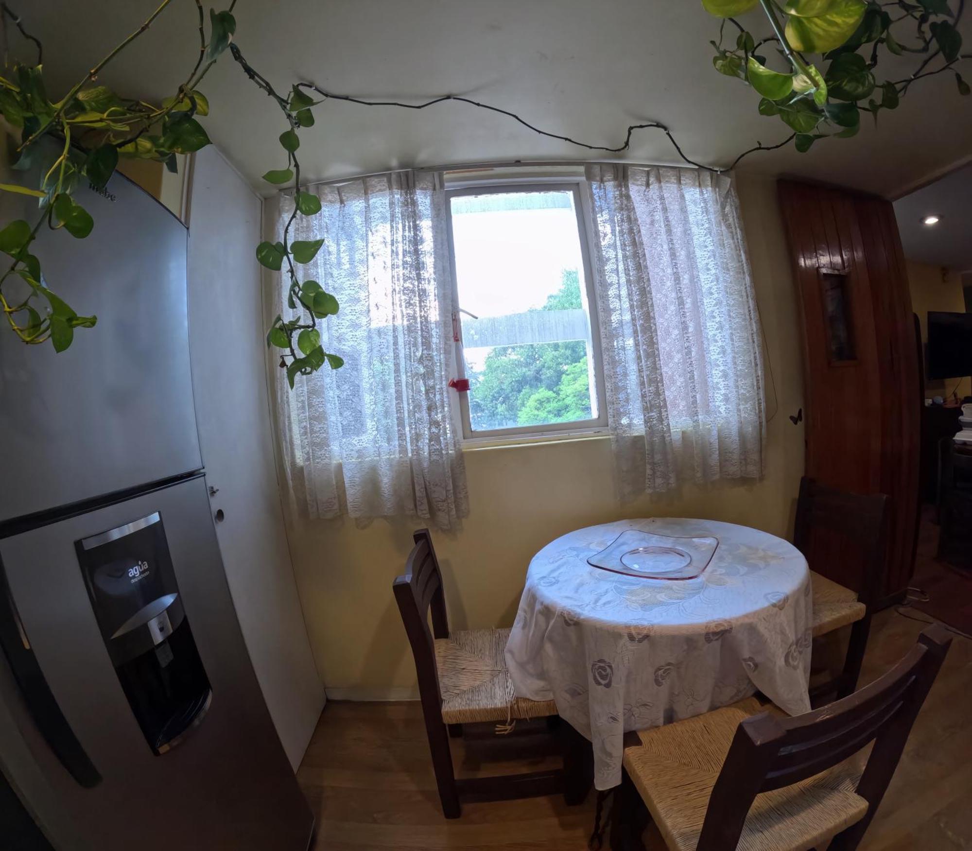 Neighbor Of Frida Khalo, Vintage Stay In Coyoacan Мехіко Екстер'єр фото
